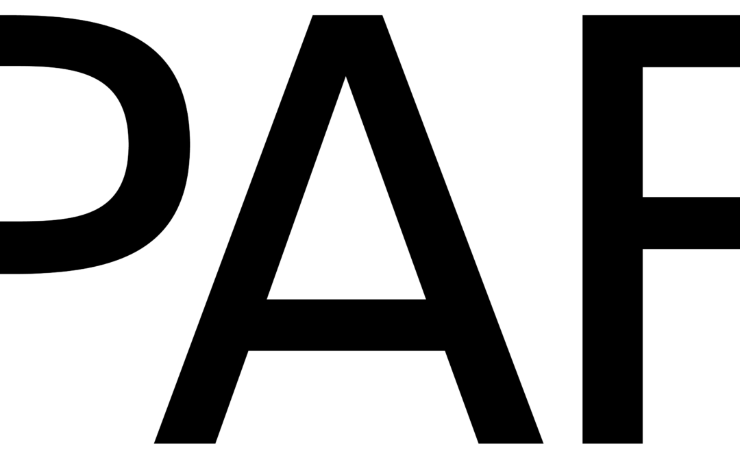 Přehlídky filmové animace a současného umění PAF 2020